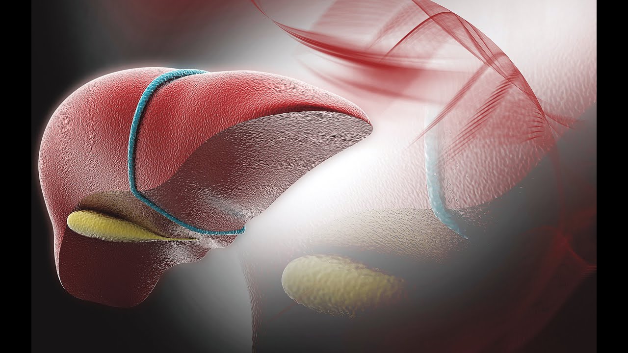 Liver Health Support - illustration showing a healthy liver, emphasizing detoxification and liver function.