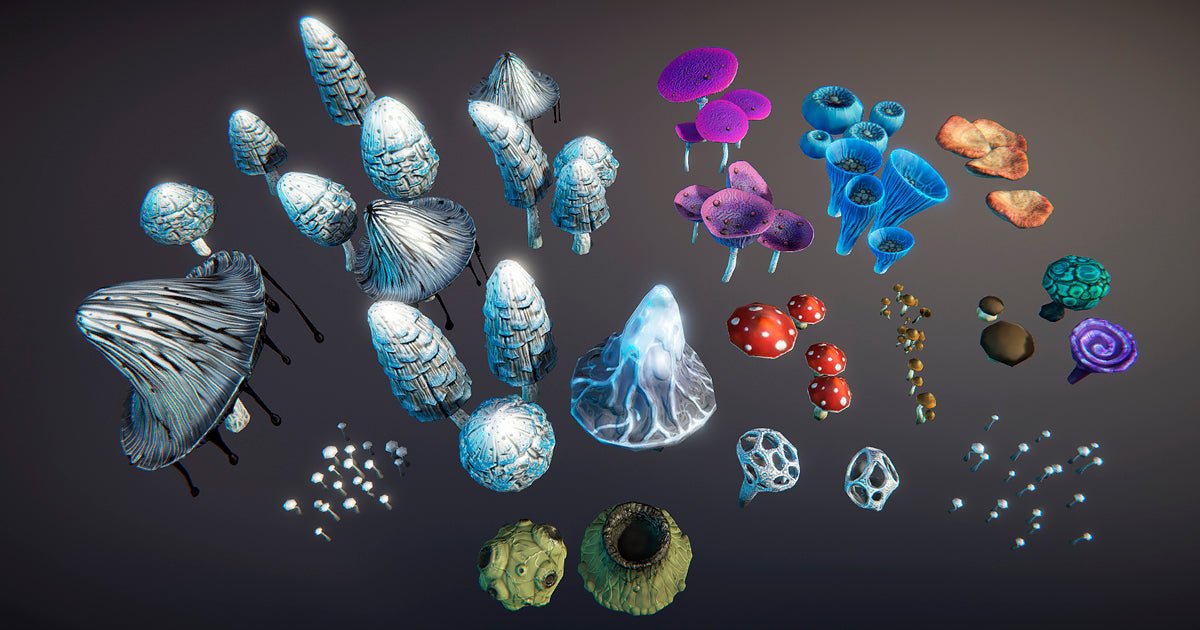Various colorful mushrooms representing Functional Mushroom Extracts and their adaptogenic properties.