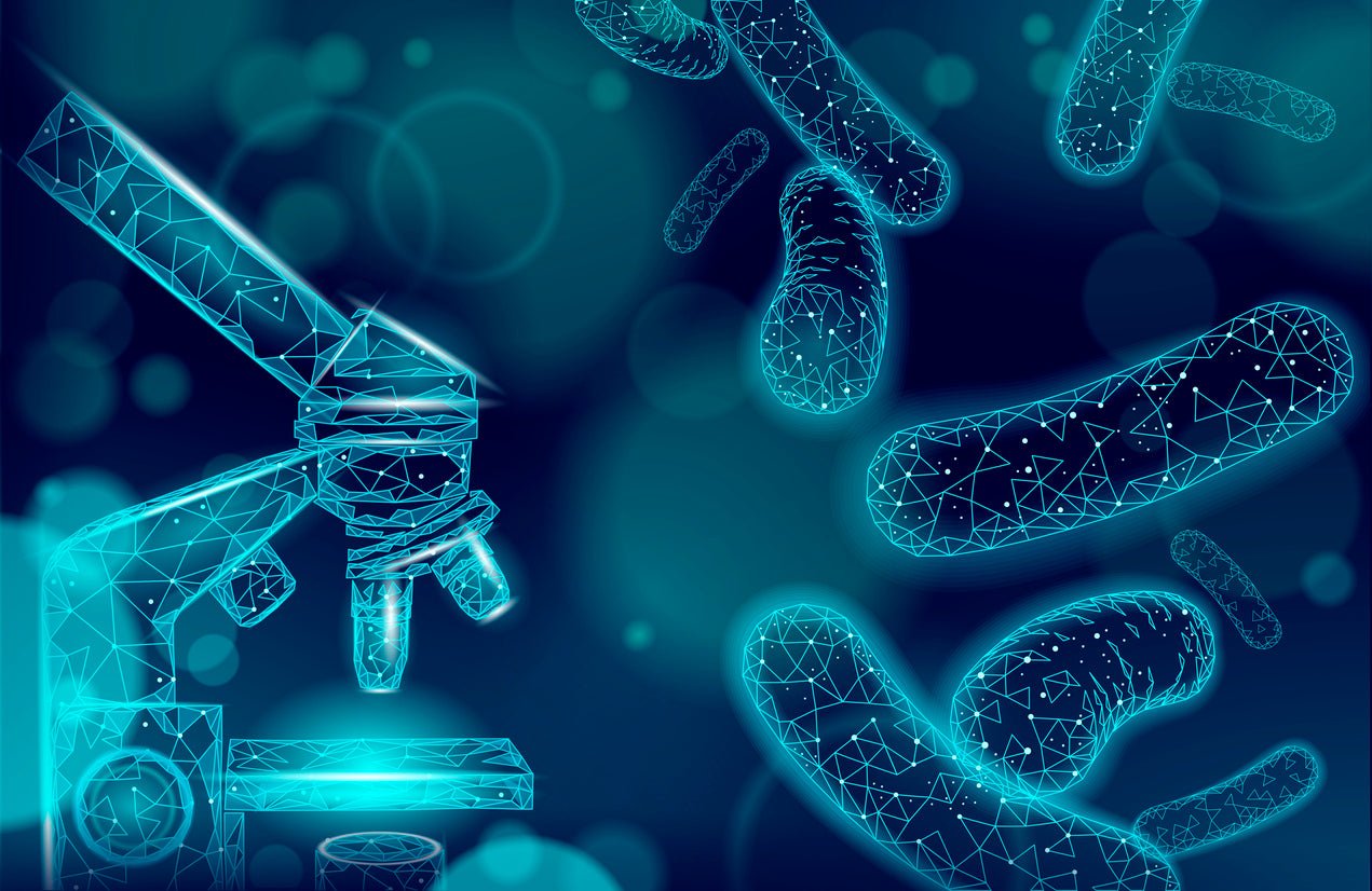 Immune Support Antioxidants - graphic representation of probiotic strains and a microscope.