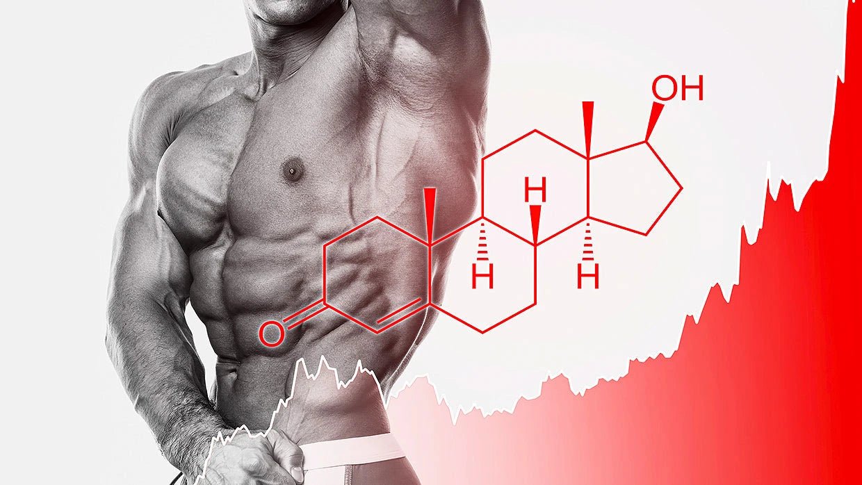 What's The Difference In Liquid And Solid Sarams Liquid SARMs - Convenient & Precise Dosing Solutions – GIGACULT