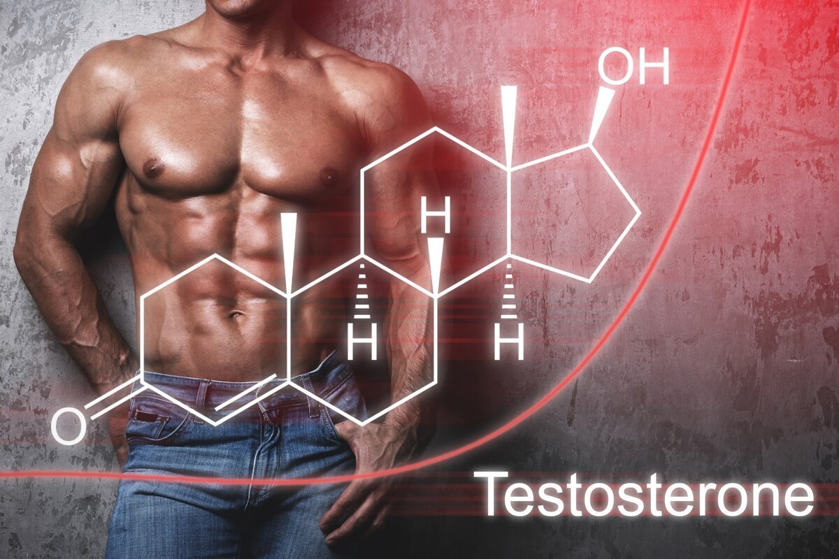 Hormonal Balance Support - illustration of testosterone structure with a muscular individual.