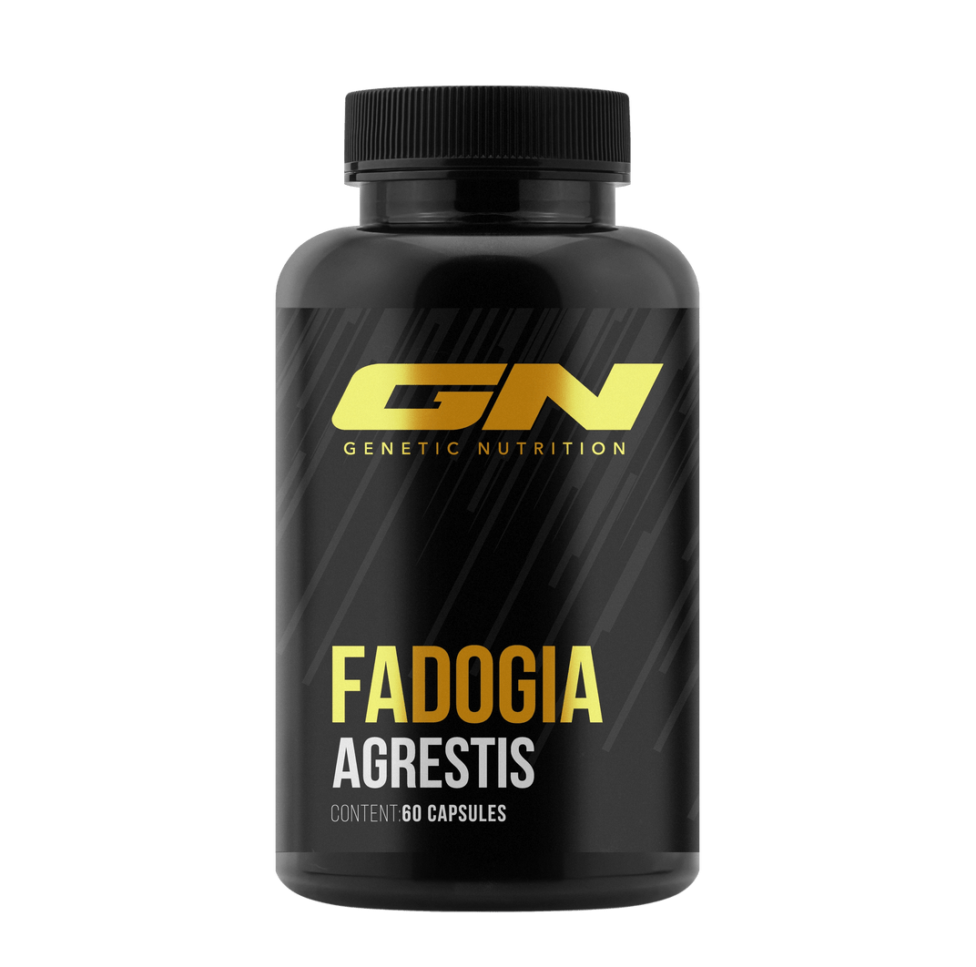 Genetic Nutrition Laboratories Fadogia Agrestis supplement bottle with 60 capsules for energy and vitality.