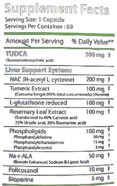 Revange Nutrition Tudca Maxx 60 caps - GIGACULT