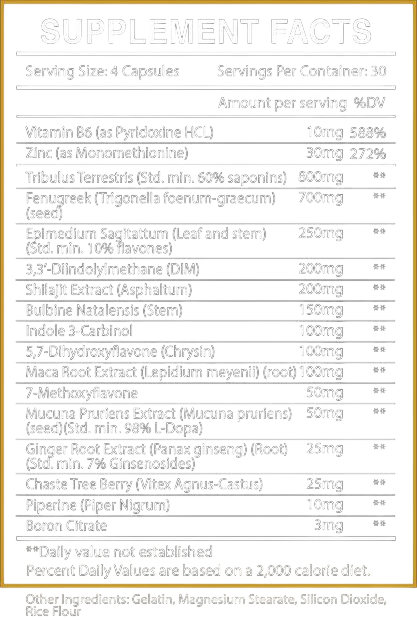 Centurion Labz Retreat Pct 180 caps arimistane - GIGACULT