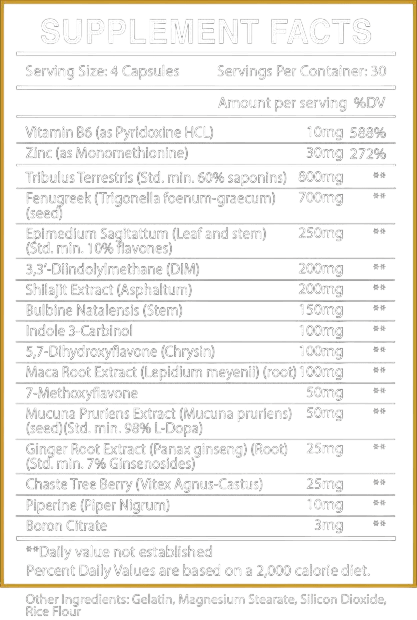Centurion Labz Retreat Pct 180 caps arimistane - GIGACULT