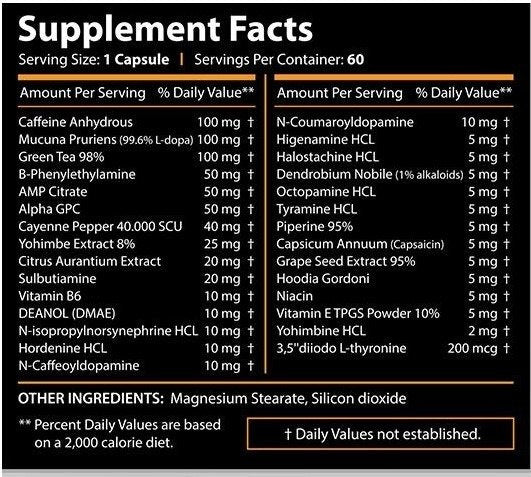 Core Labs Therma Lean 60 caps - fat burner - GIGACULT