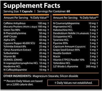 Core Labs Therma Lean 60 caps - fat burner - GIGACULT