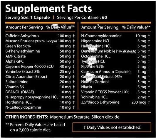 Core Labs Therma Lean 60 caps - fat burner - GIGACULT