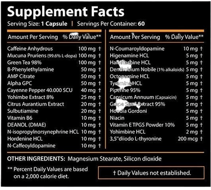 Core Labs Therma Lean 60 caps - fat burner - GIGACULT