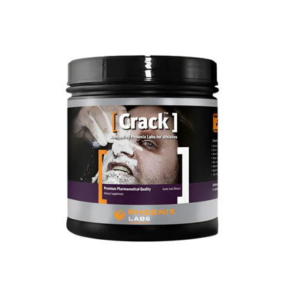 Phoenix Labs Crack - GIGACULT